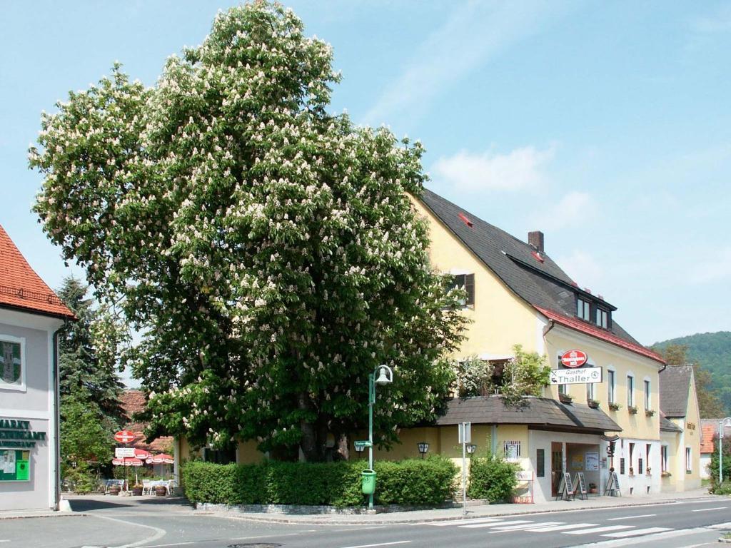 Gasthof Thaller 호텔 Lebring 외부 사진